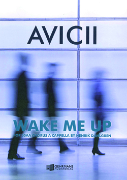 Avicii Wake Me Up SSAA